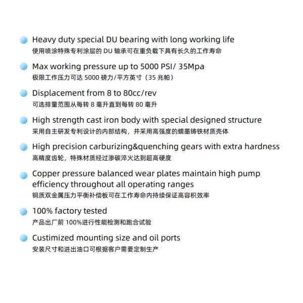 Запчасти для строительной техники с прямым креплением гидравлического насоса Permco P5100 серии P