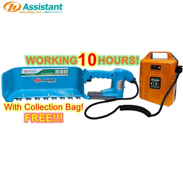 350mm Tea Plucking Machine with 5 KG Capacity and 18 Hours Working Time DELI DL-4CD-35