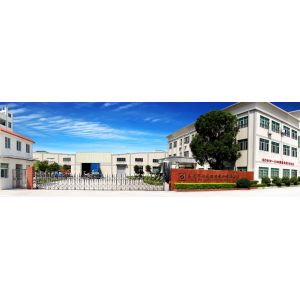 Dongguan Vlove Creative Co., Ltd.