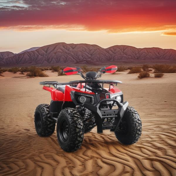 10inch Steel 4 Wheeler Gas ATV with Digital Speedometer Display and Max Speed 75km/h
