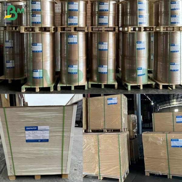 Cartón blanco blister de alta rigidez y suavidad de 300 g/m², 310 g/m², 320 g/m² para inserción en cajas de regalo y embalaje de electrónica