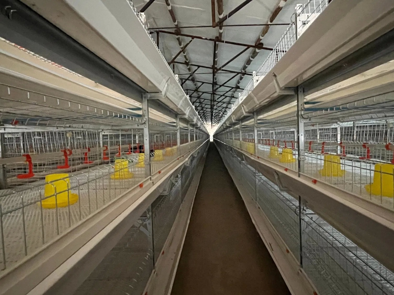 Galvanized Poultry Farm Equipment H Type Battery Cage For Broiler And Layer Chickens