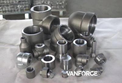Hardness Stainless Steel Forged Steel Pipe Fittings NPT Threaded End Cap