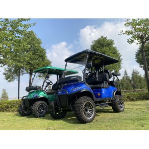 Sistema de doble brazo A Construcción 60V PMSN Carrito de golf eléctrico con luz RGB