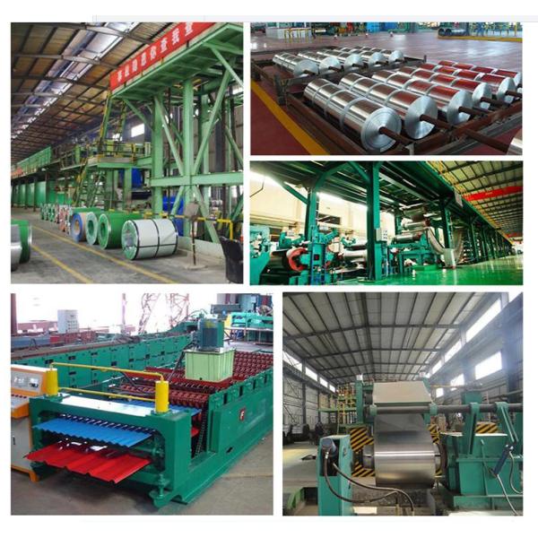 PPGI HDG GI SECC DX51 Zinc Cold Rolled Steel Coil Galvanized RAL Colors