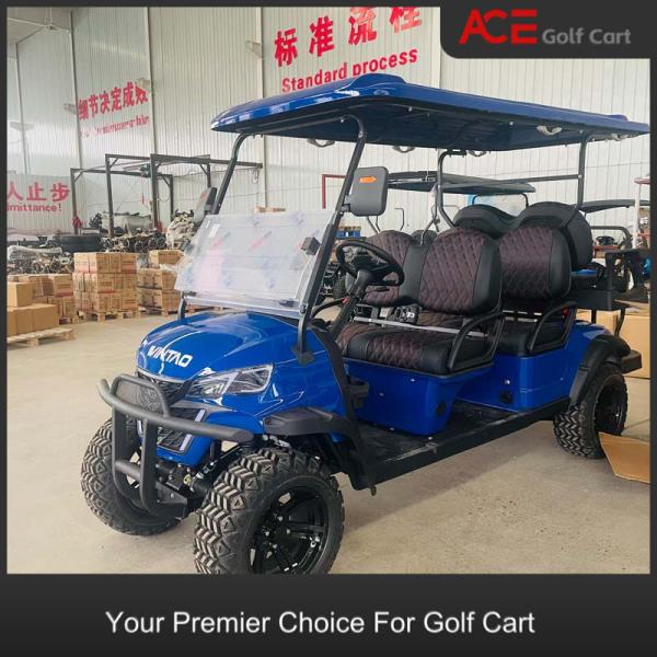 Luxury EV Golf Cart Blue Color Custom 6 Seater Golf Cart