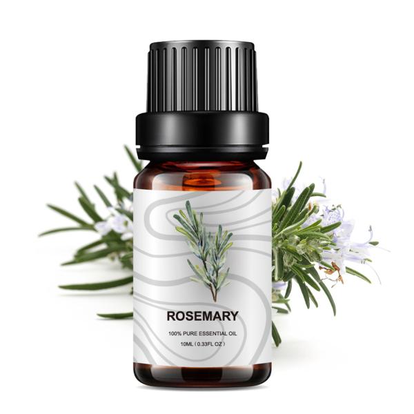 Medicine Organic Rosemary Essential Oil Hair 10ml Face And Body MSDS ODM