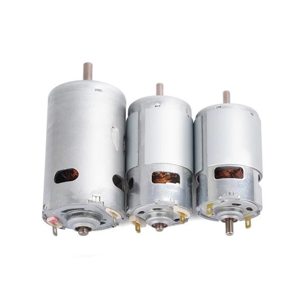 High Torque Pm Brushed Dc Motor Square Spur Gear Motor 12v,24v D Shaft Permanent Magnet