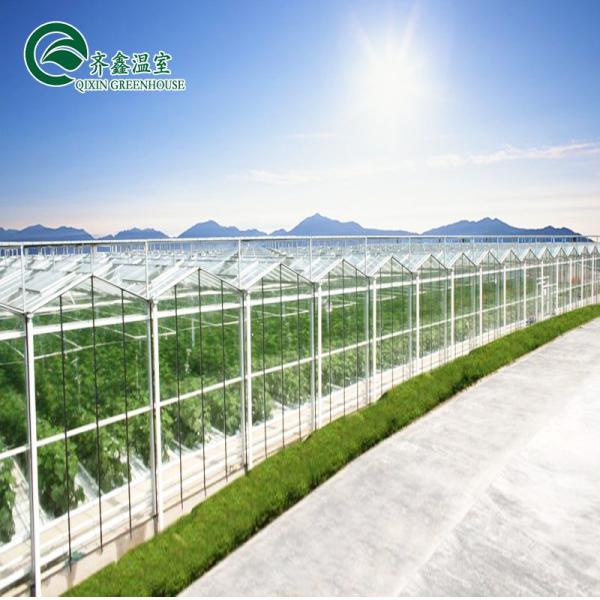Large Steel Greenhouse Structure Shed Design With 150/200micro PE Film Covering