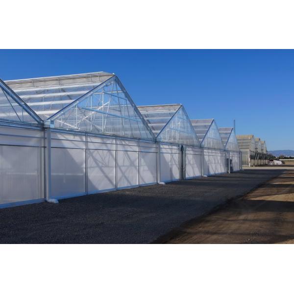 Tropical Area Vegetable Plastic Film Greenhouse For Hydroponic Growing