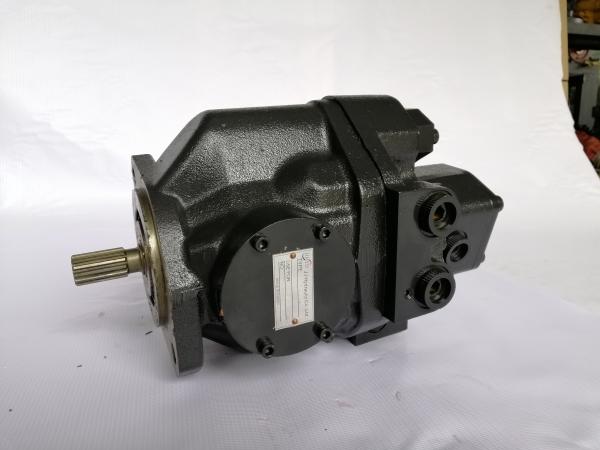 OEM Standard Excavator Hydraulic Pump Main Pump AP2D21 For Kawasaki CAT Kobelco