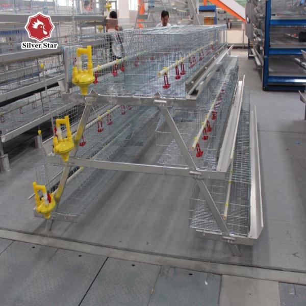 O tipo galinhas de Chick Breeder Broiler Chicken Cage A da franga do ovo da camada galvanizou a malha de aço