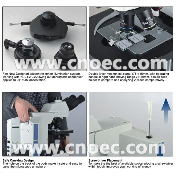 Laboratory APO Fluorescence Microscope with Digital Head , 5.0M Camera A16.0909