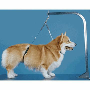 Pas de support de hanche pour chien, câble d'attache réglable pour le toilettage, boucle coulissante