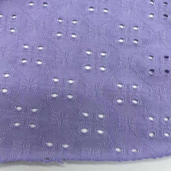 Eco Friendly Knitting Jaquard  Sports Jersey Fabric Home Textile Medium GSM F02-034