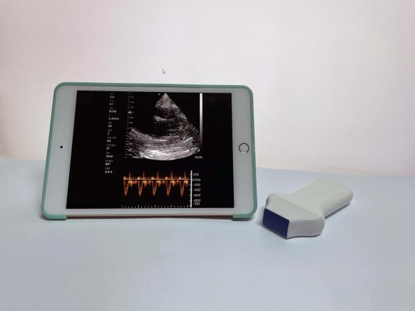 Portable Hand Held Used Cheap Phased Array Ultrasound Machine Probe
