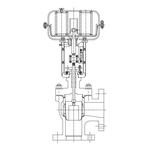 V200-CA Series Cage Control Valve