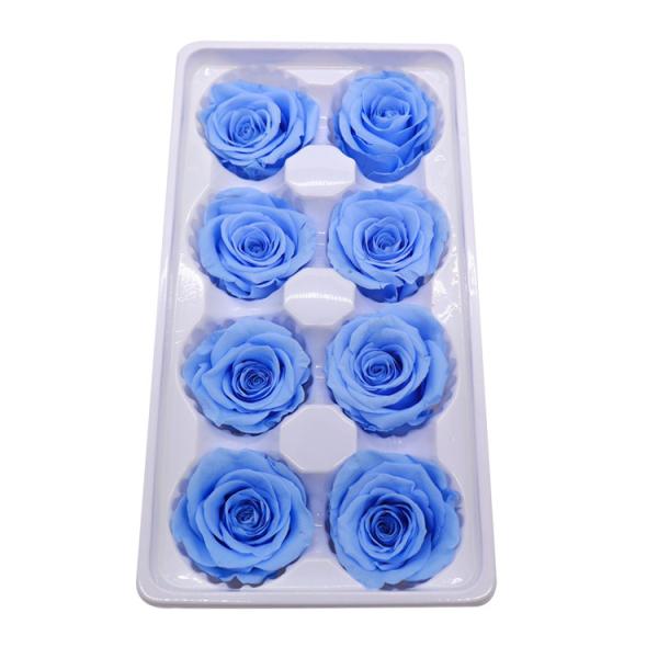 Beautiful Long Living Preserved Rose Heads Easy Care No Need Water