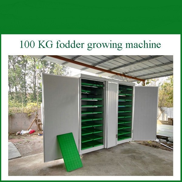 Машины для гидропонического кормления животных Системы гидропонического выращивания в теплицах