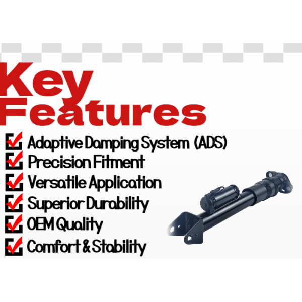 Rear Mercedes Benz Air Suspension Shock Absorbers With ADS For R-Class W251 V251 2513201031