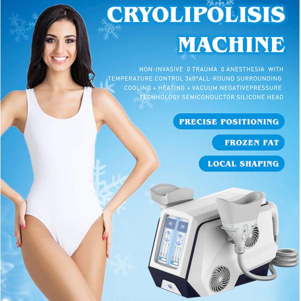CE FDA Portable Cryolipolysis 110V/220V Body Slimming Fat Freezing Machine