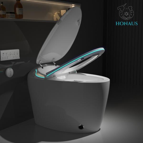 CUPC European 110v/220VAC Bathroom Toilet Bowl Smart Commode Auto Wash