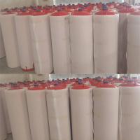 Mini Orden de 20 Conjunto de cilindro rojo de fuego gaseoso Negocio esencial