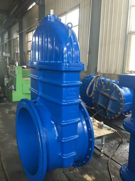 Din Pn10 Pn16 Ductile Cast Iron Ggg50 Hand Wheel Resilient Seated Flanged Water Seal Gate Valve