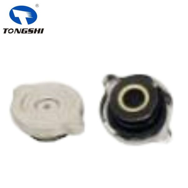 Leak Proof Radiator Cap Cover Effective Pressure Regulation 1245000406 For BENZ E320