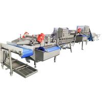 Máquina automática de lavagem de frutas e legumes de 4,8 kW 1500 kg/h