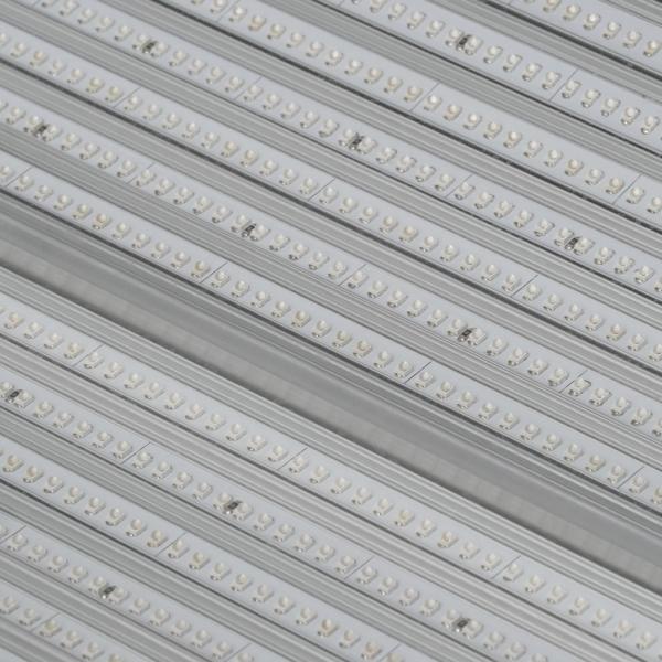 Muscle Message 635nm 660nm 850nm LED Red Light Therapy Beds For Chiropractic Use