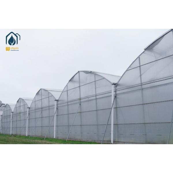 Gable / Arch Commercial Hydroponic Greenhouse Energy Efficient Large Scale Greenhouses