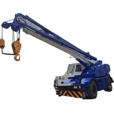25 Ton Tadano TR250M Used Rough Terrain Crane with Telescopic Boom Made in Japan