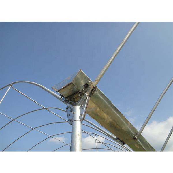 Пленочная многопролетная теплица с высотой крыши 5 м для овощей и фруктов