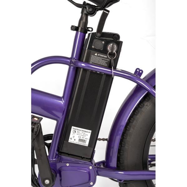 Adult Electric Folding Bike with Rear Hub Motor LCD Display Kenda Tire and Alloy Frame