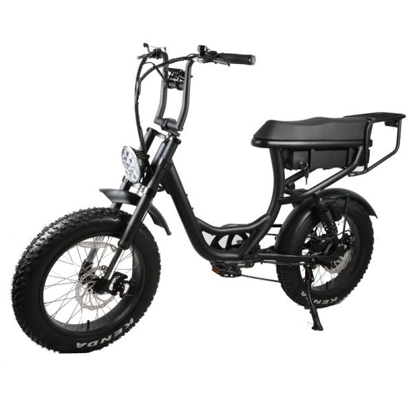 Rear Hub Motor Braking System 20 Inch 1000w High Power Electric Fatbike for Adults
