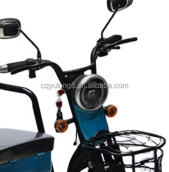 Family Truck Electric Tricycle for Elderly 200-300kg Payload Capacity Open Body Type
