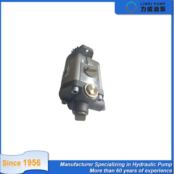 ODM Dump Truck Hydraulic Gear Pump System 1032300075