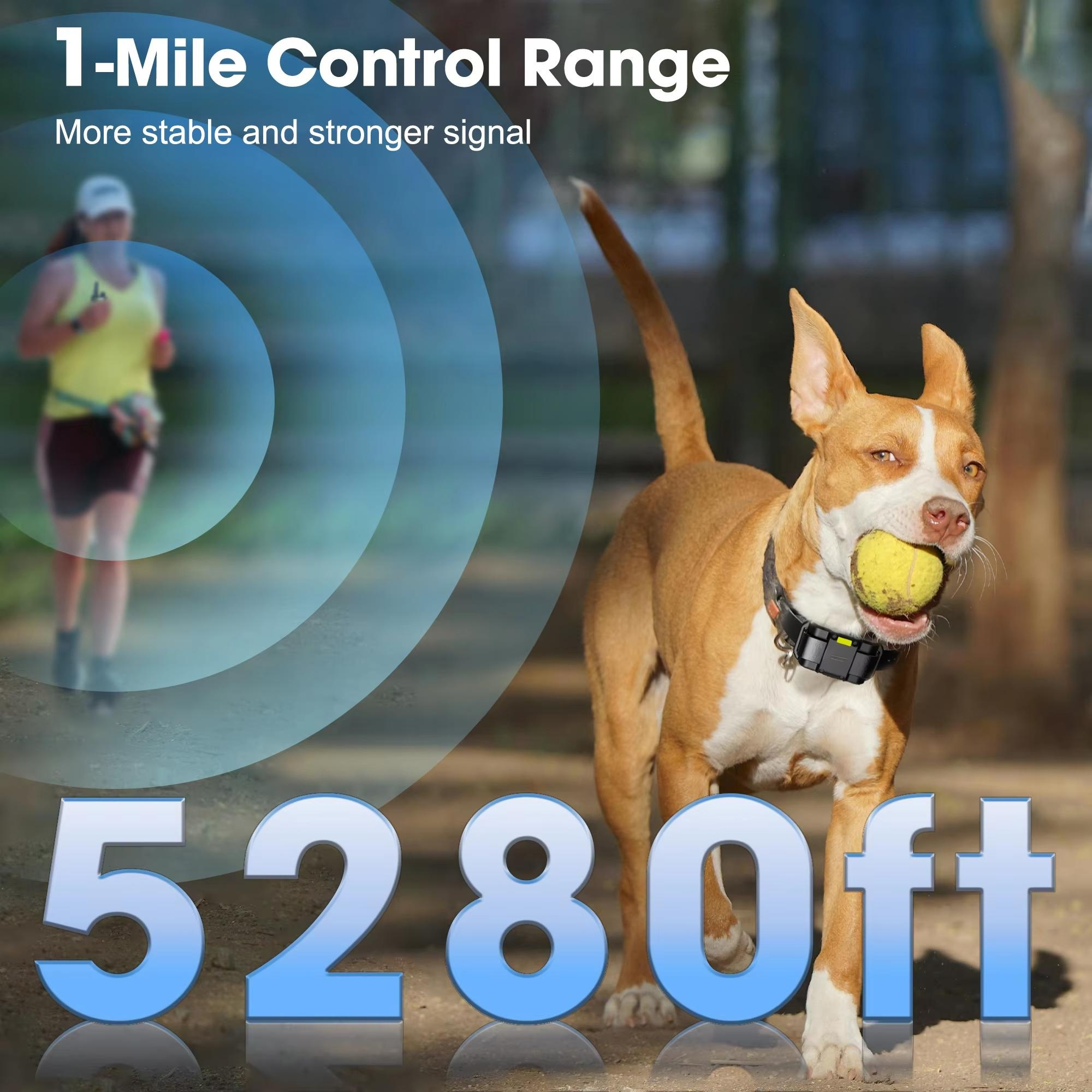Eco-Friendly Remote Dog Training Collar Fashionable Waterproof Electric Guard Shock Stylish Nylon Plastic Pet Training Supplies