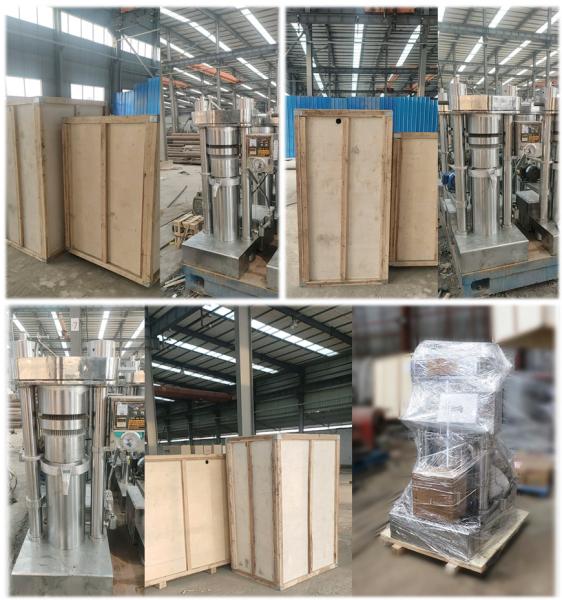 Máquina hidráulica de prensagem de óleo de gergelim, expelente de óleo de cozinha de abacate, equipamento de processamento de óleo de nozes