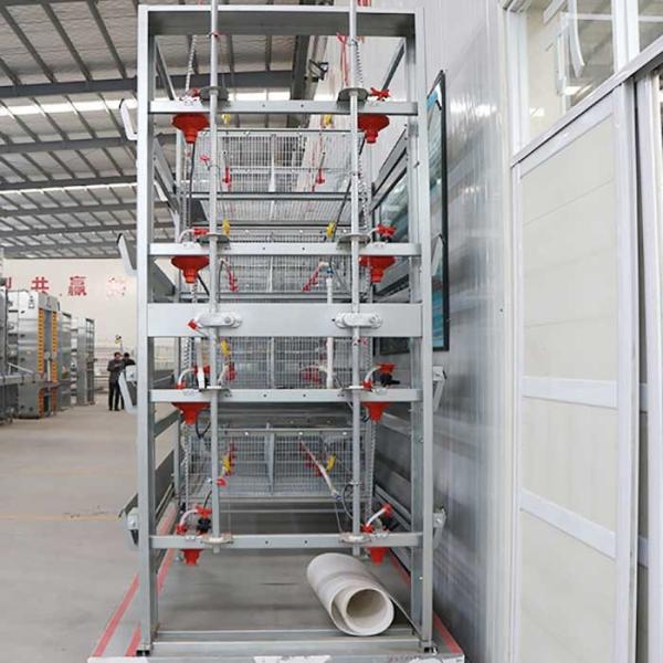 Manual Feeding System 45 Days Chicken Cage , 3 Tiers Chick Rearing Cage
