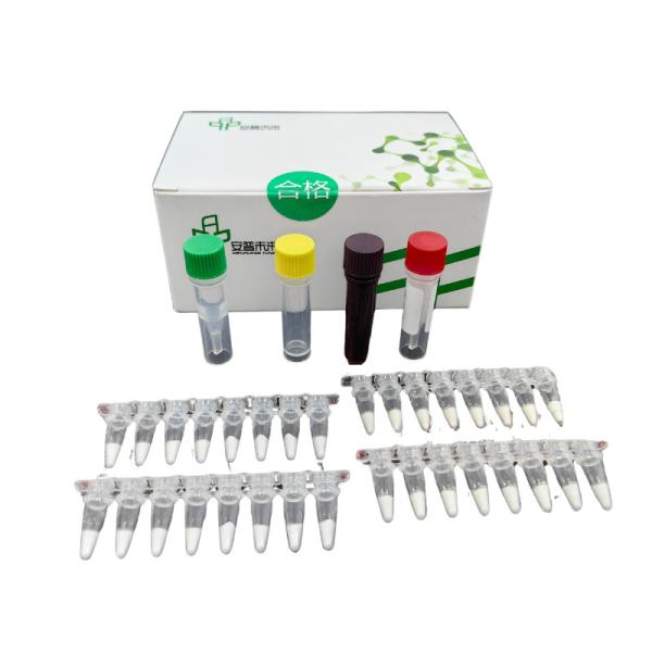 High Detection Sensitivity Infectious Feline Mycoplasma Rapid Animal Disease Kit For Blood Sample Testing