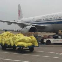 Navires de vol de Shanghai à l'Australie porte à porte FCL Shipping Agency Ups Ddp Service