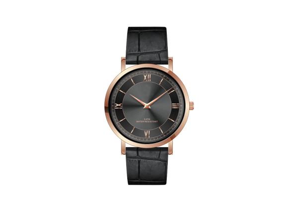 Interchangeable Strap Stainless Steel Quartz Dress Watch SS Back Cover