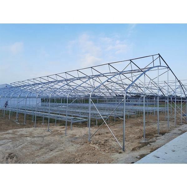 Customizable Metal Pipe Frame Greenhouse With 200micron Plastic Film