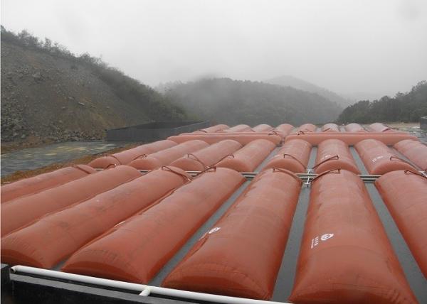 Lightning Protection Home Biogas Digester Earthquake Resistance Corrosion Resistance No Leakage
