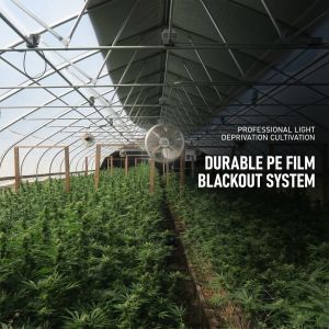 300 Sq Meters Breathable Light Deprivation Greenhouse With Blackout System