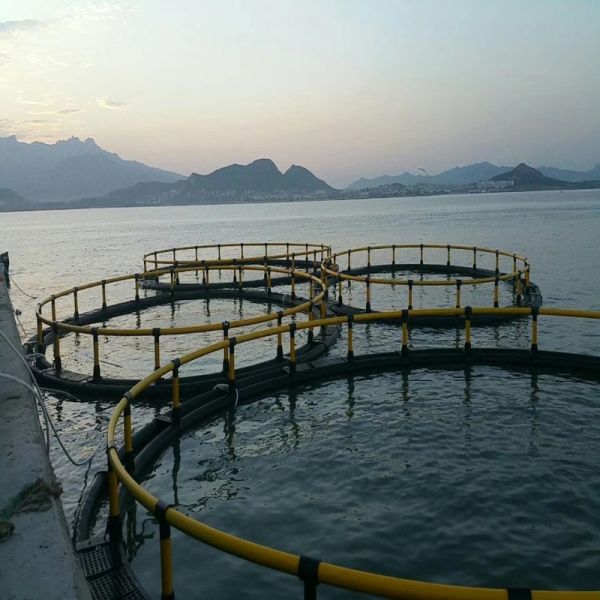 High-strength Impact-resistant Deep Sea Fish Cage
