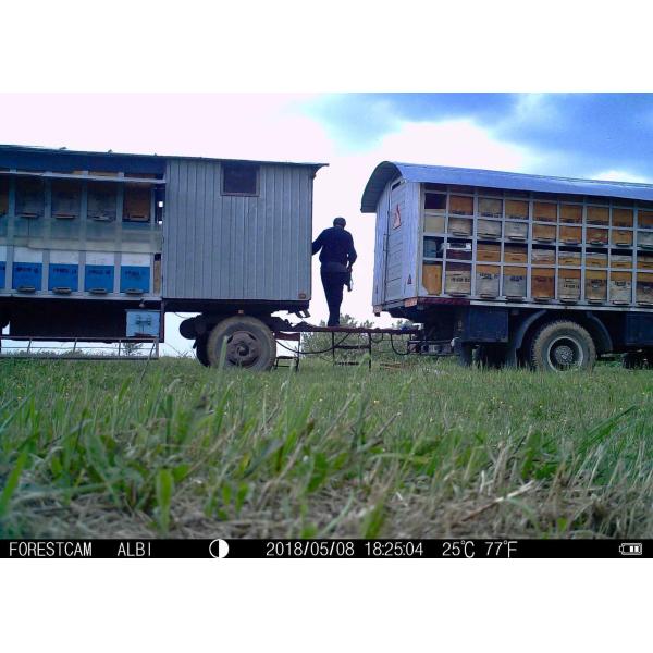 Легкая скорость пуска камеры 0.6с следа промежутка времени установки с СИД инфракрасн светомаскировки