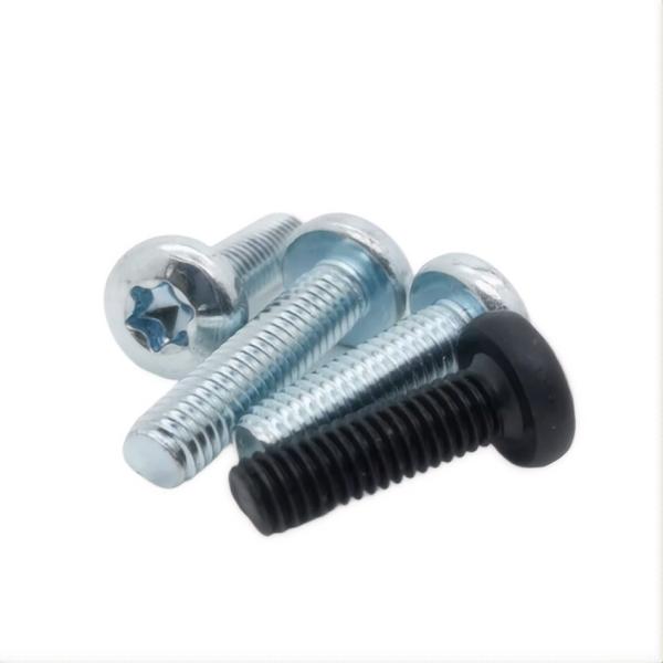 Custom Made Stainless Steel Torx Pan Head Machine Screws in Metric Measurement System